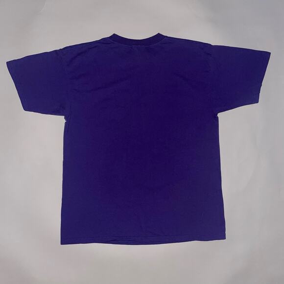 Vintage 90s Nutmeg Tampa Bay Devil Rays MLB Baseball Team CSA Graphic T-shirt - Picture 5 of 5